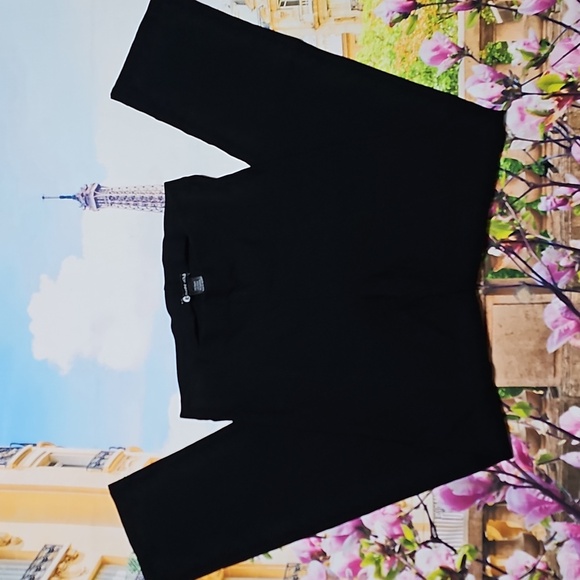 Franne Golde Sleek Black Pants Size Small - Picture 2 of 4